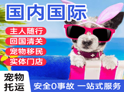 梅州空运地址国际宠物托运 【国